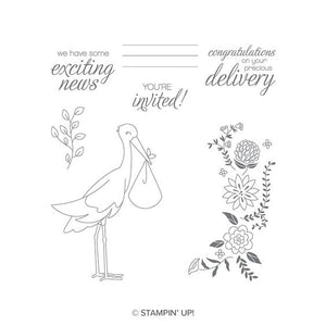 Precious Delivery | Retired Clear-Mount Stamp Set | Stampin' Up!®